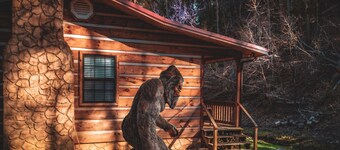 Cozy Creekside Cabin, 3.6mi to National Park, 257 Black Mash