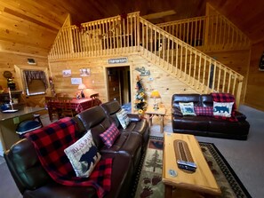 Télévision, cheminée, jeux vidéo, lecteur de DVD