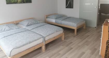 Bright 2 room apartment 25min to Europapark
