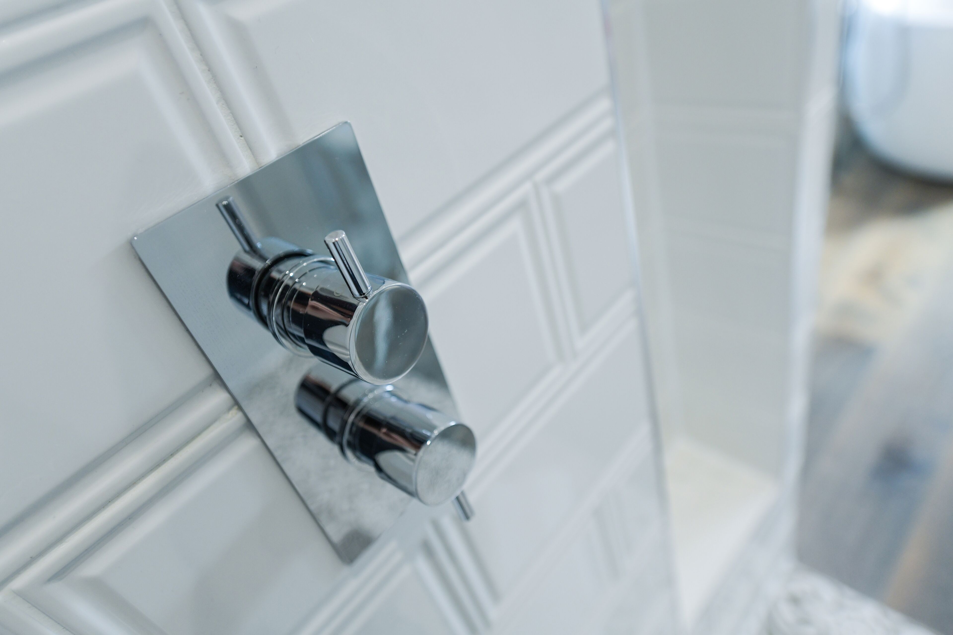 A bathroom door with a chrome handle and a mirror.