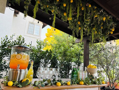 Stunning Dreaming Garden House Close to UTC and La Jolla