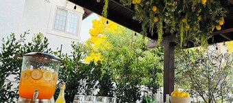 Stunning Dreaming Garden House Close to UTC and La Jolla
