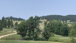 Paesaggio rurale con un sentiero sterrato, alberi e dolci colline sullo sfondo.