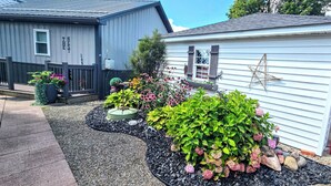 A residential property with a grey shed labeled "NEST THE", a white house with a star decoration, and a garden with various plants and a small pond.