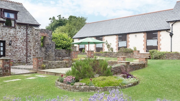 A courtyard with a stone wall, a grassy lawn, and lavender flowers. - Wagtail (Holsworthy)