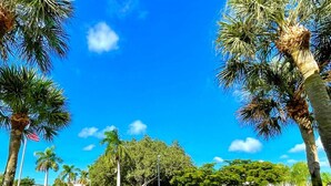A fountain surrounded by palm trees and well-maintained greenery, with a clear blue sky in the background. - GOLF INCLUDED!! Charming 1st Floor Condo; 1.5 miles to Naples’ Beaches (Naples)