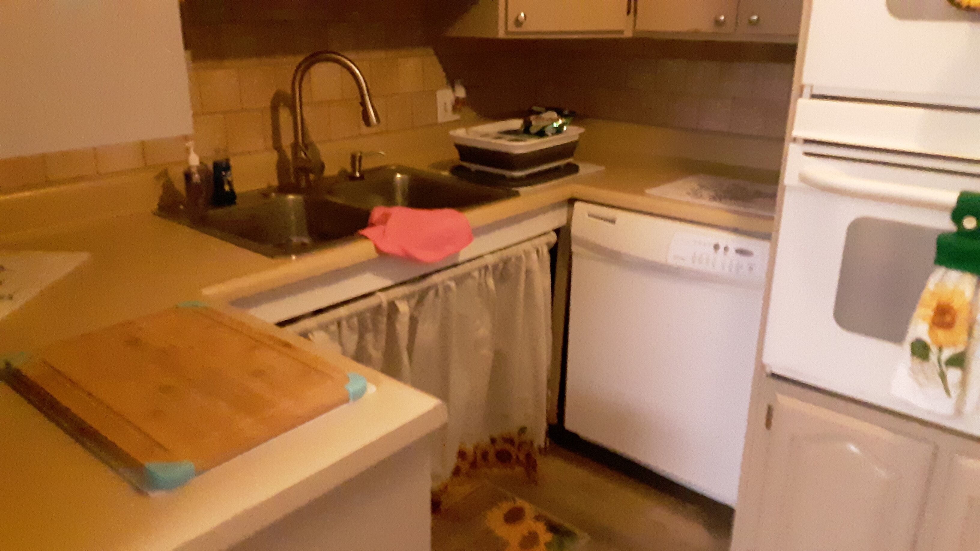 Una cocina pequeña con un lavamanos, lavavajillas y una encimera con tabla de cortar y escurreplatos.