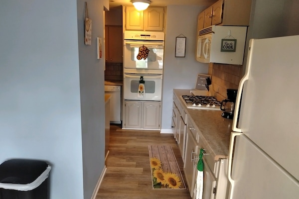 Frigorífico, microondas, horno y placa de cocina