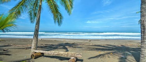 Plage, chaises longues, serviettes de plage