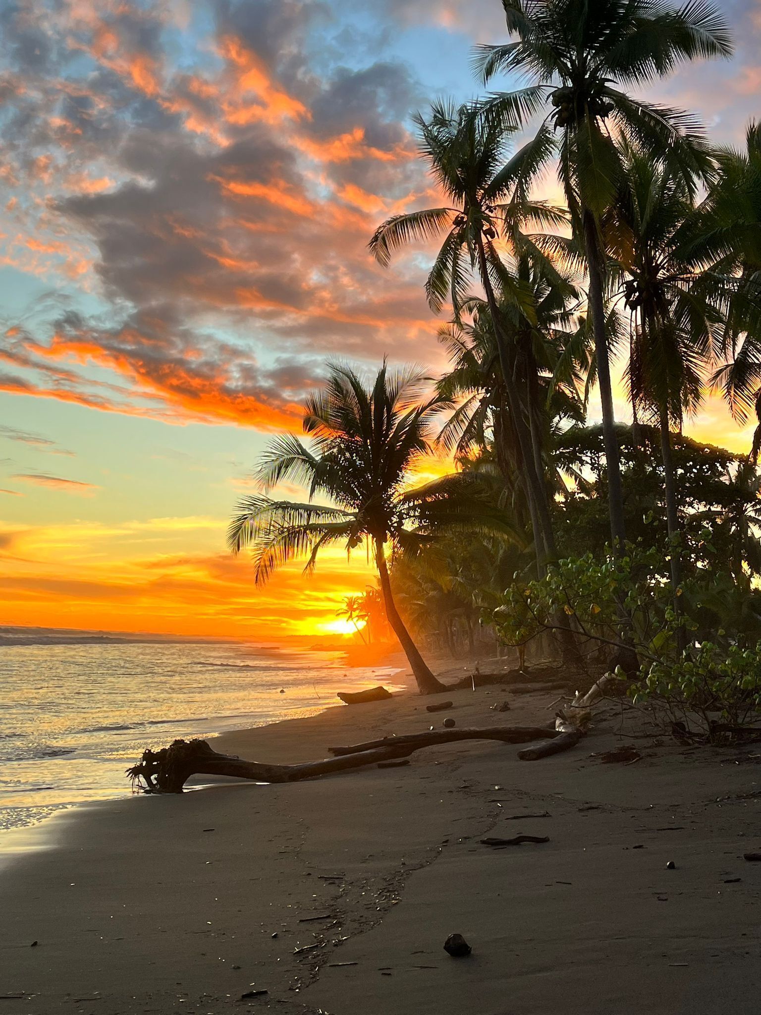 在海滩、沙滩椅、沙滩毛巾