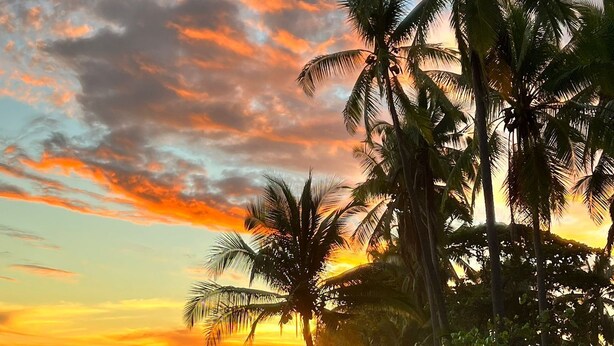 Una playa con palmeras y un atardecer.