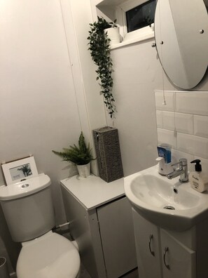 Combined shower/bathtub, hair dryer, towels, soap