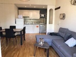 TV, DVD player - Vittel, Appt 55 m2, , en Face du Parc Thermal (Vittel)