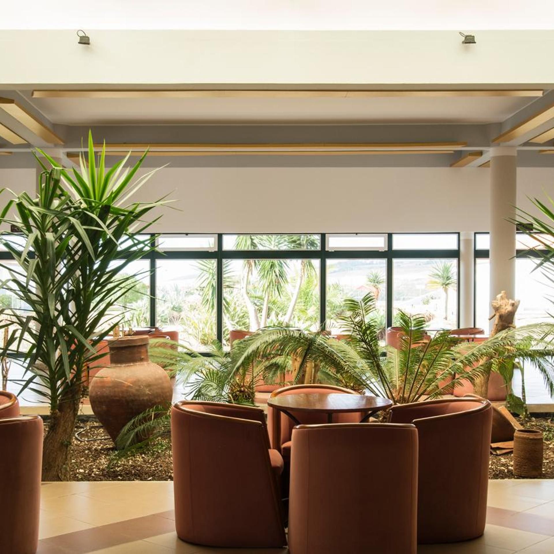 A spacious indoor area with large windows, terracotta planters, and a seating arrangement.