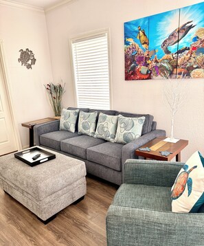 Smart TV, DVD player, books, computer monitors
