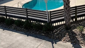 A swimming pool surrounded by a wooden deck, with a palm tree in the foreground. - Beach house with pool only steps from the ocean (Murrells Inlet)