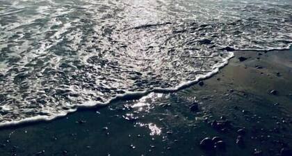 Sintra*romantic*near beach*private outdoor shower