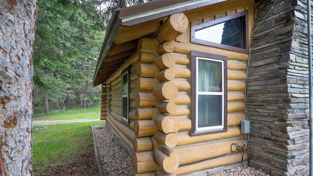 A log cabin with a stone exterior, a window with a white frame, and a door. - Rustic Roost Log Cabin | 1 Bed, 1 Bath (Custer)