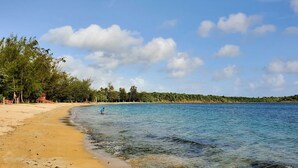 A beach with clear blue water, sandy shore, and dense tropical trees.
