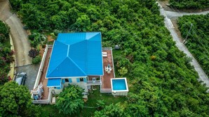 A large house with a blue roof, surrounded by dense greenery.