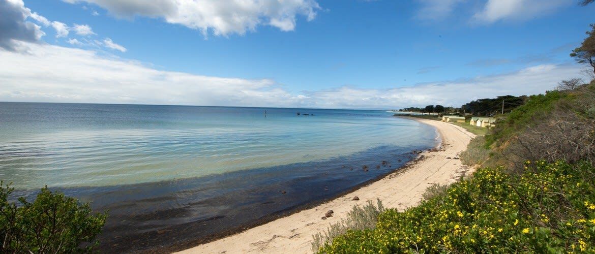 A beach with clear water, a sandy shore, and some vegetation.
