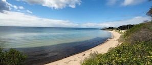 A beach with clear water, a sandy shore, and some vegetation.