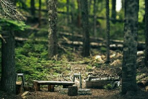 Property grounds - Private, alpine modern A-frame near lake & lifts with firepit & wood stove (Snoqualmie Pass)