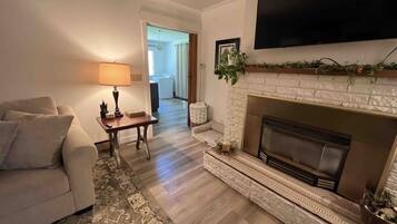 Smart TV, fireplace, books