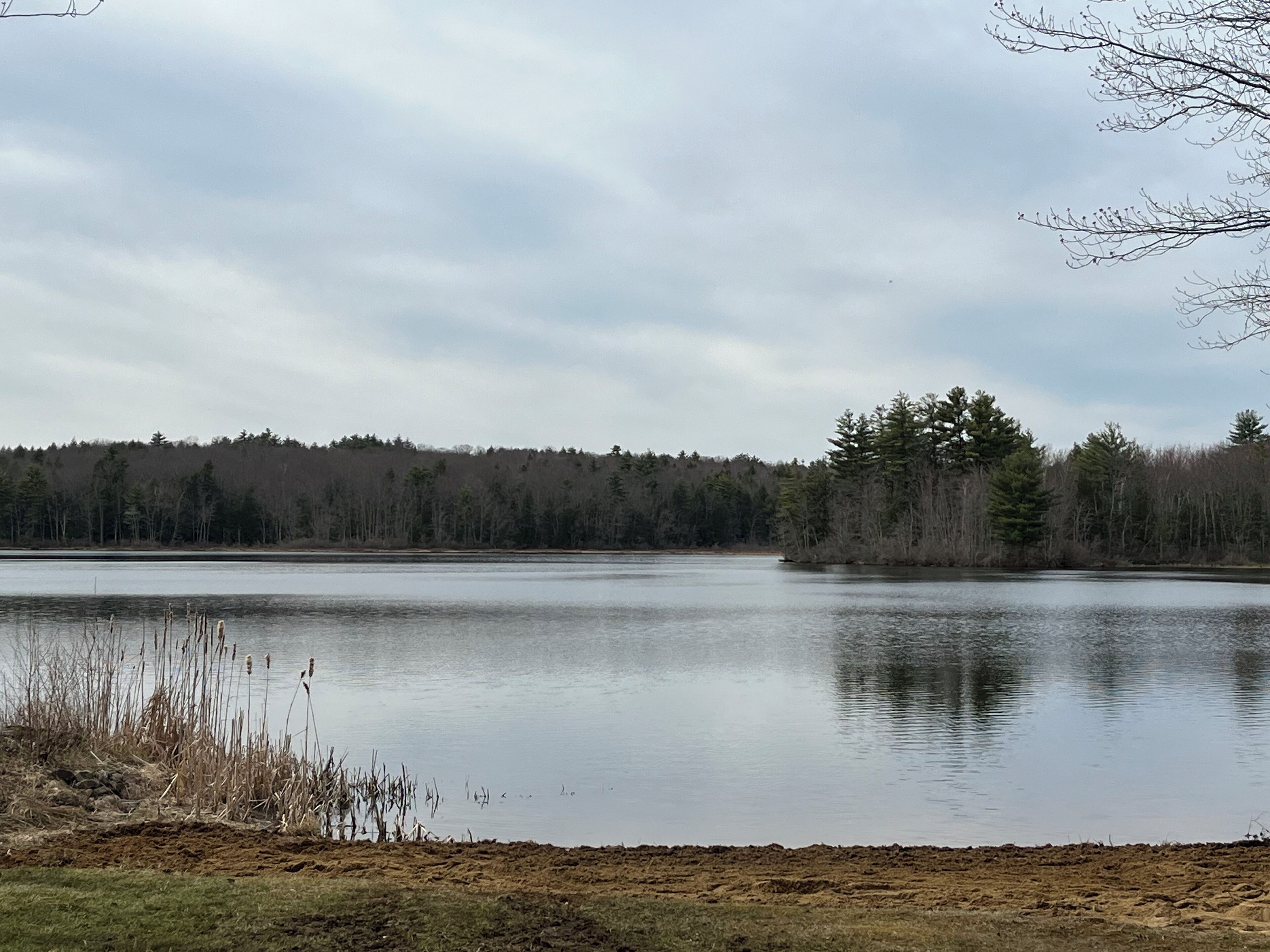 Un lac paisible, bordé d’une forêt, sous un ciel dégagé.