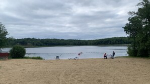A sandy beach with a lake, trees, and a bench.
