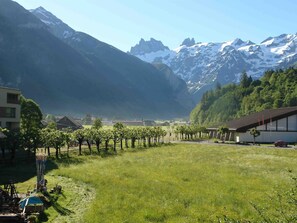 A rural landscape with a vineyard, a building with a sloped roof, and snow-capped mountains in the background.