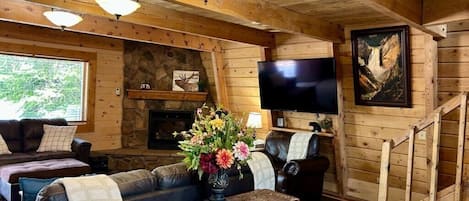 Flat-screen TV, fireplace, books