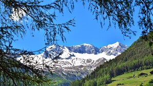 Un paisaje montañoso con picos nevados, un bosque denso y un cielo azul despejado.