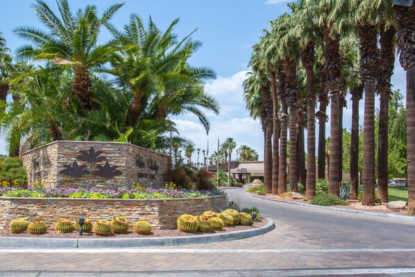 A landscaped area with palm trees, cacti, and a stone wall with a logo.