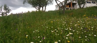 Rustic house in a small village with amazing views