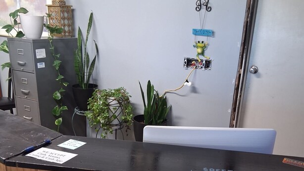 A reception desk with a sign, a filing cabinet, and potted plants. - Coratel Inn and Suites By Jasper Anthony (Anthony)