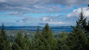 A forested landscape with a view of distant hills and a lake. - Entire Suite, Ocean, mountain view, hot tub, next to Mountain Maxwell park. (Salt Spring Island)