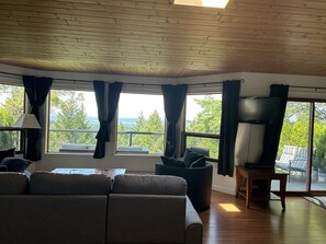 Smart TV, fireplace, DVD player, books