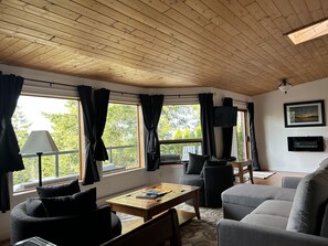 Smart TV, fireplace, DVD player, books