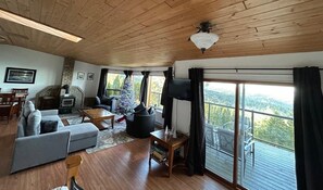 スマートテレビ、暖炉、DVD プレーヤー、書庫