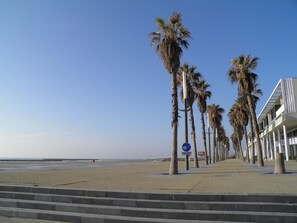 A beachfront promenade with palm trees, a clear sky, and a beach in the background.