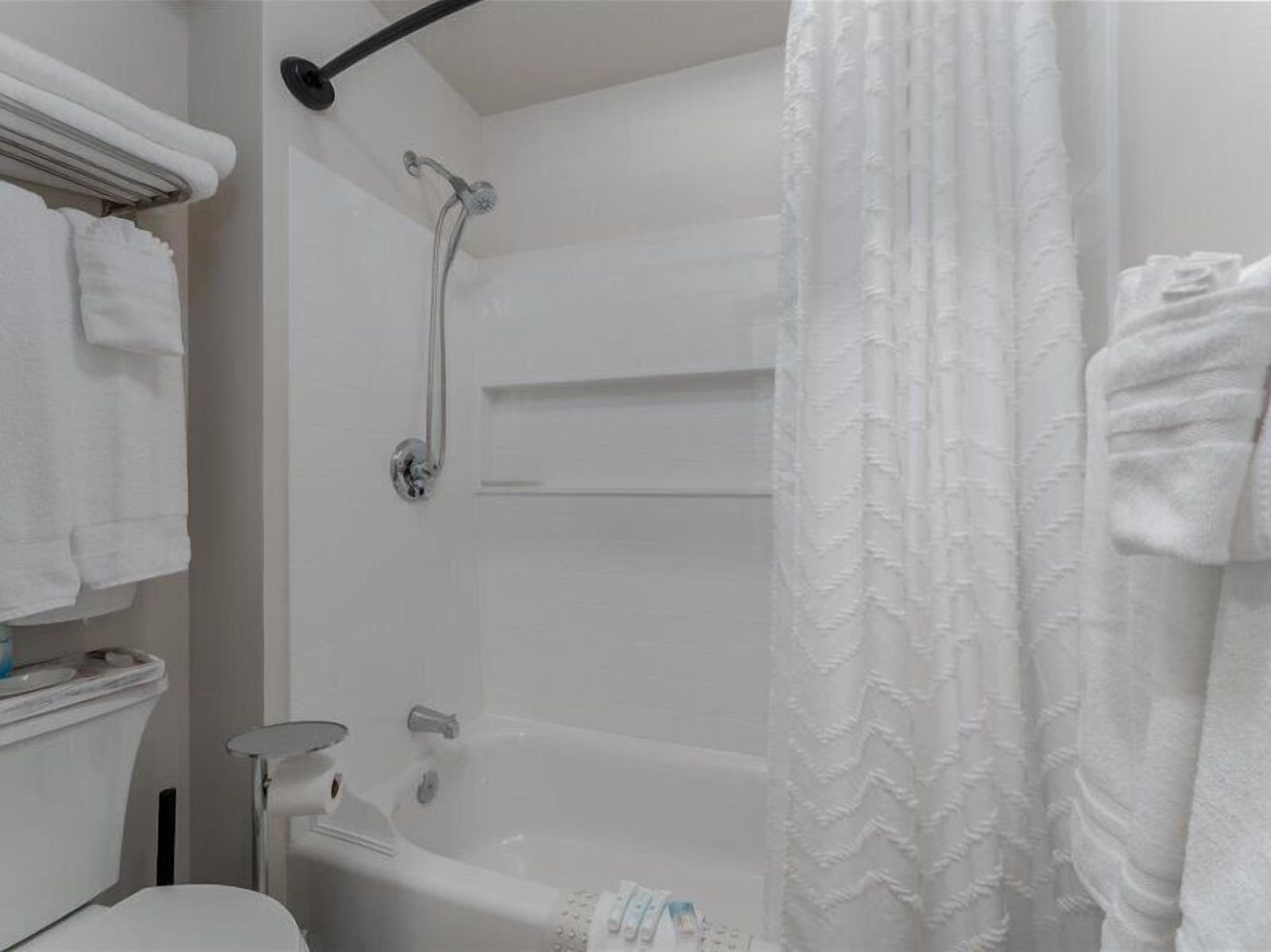A bathroom with a bathtub, toilet, and a shower curtain.