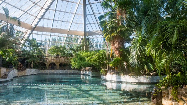 An indoor swimming pool with a glass ceiling, surrounded by lush greenery and stone walls. - Hotel De Eemhof by Center Parcs (Zeewolde)