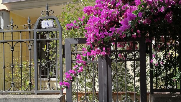 A gated entrance with a metal gate and a number plate. - APARTMENT IN DORGALI, COMFORT AND RELAX GARDEN (Dorgali)