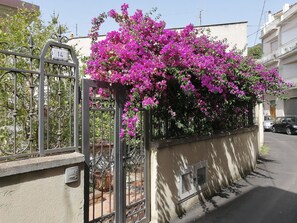外部細節