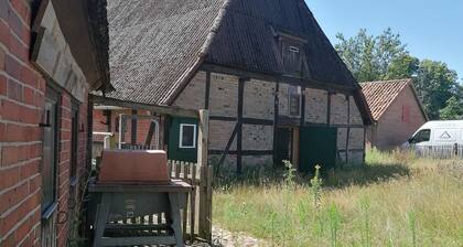 Entspannen n der Elbtalaue