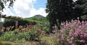 Terrain de l’hébergement 