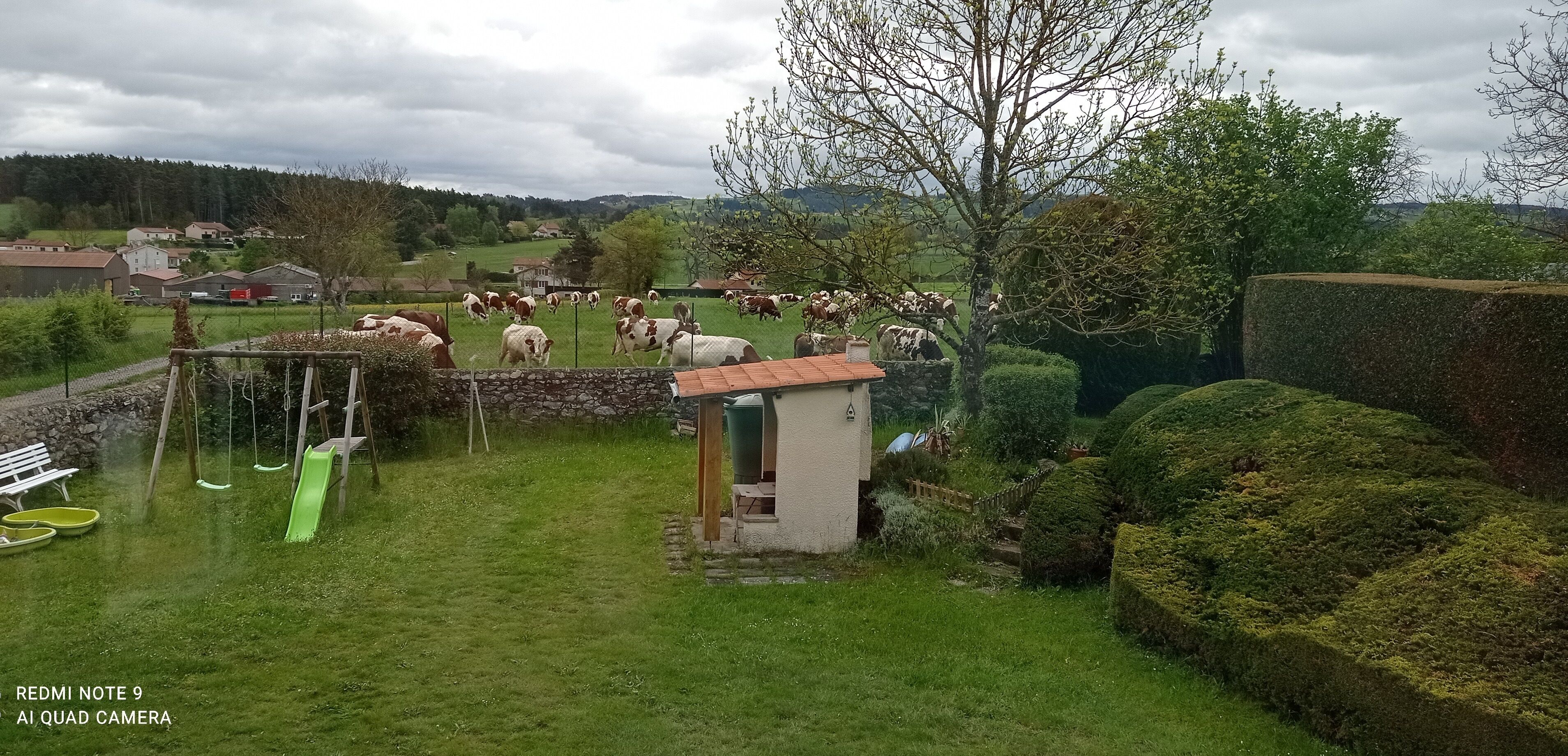 A rural landscape with a fenced area containing cows, a small shed, and a swing set.