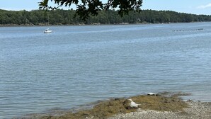 Un lago tranquillo con una riva rocciosa e una boscaglia sullo sfondo.