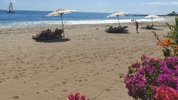 A beach with umbrellas, lounge chairs, and a sailboat in the distance. - Duplex 160 m2 (Saint Gilles les bains)
